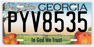 GA license plate PYV8535