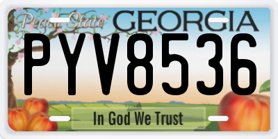 GA license plate PYV8536
