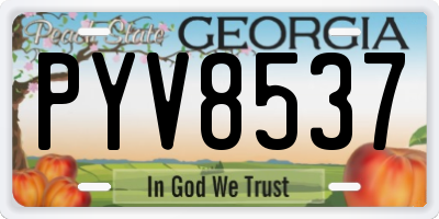 GA license plate PYV8537
