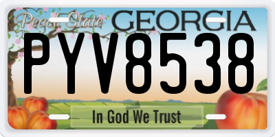 GA license plate PYV8538
