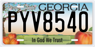GA license plate PYV8540