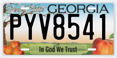 GA license plate PYV8541