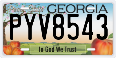 GA license plate PYV8543
