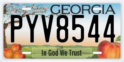 GA license plate PYV8544
