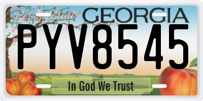 GA license plate PYV8545