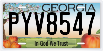 GA license plate PYV8547