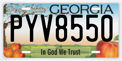 GA license plate PYV8550