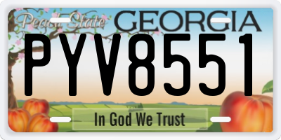 GA license plate PYV8551
