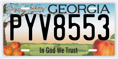 GA license plate PYV8553