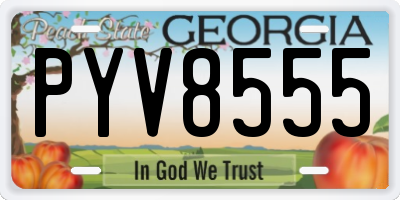 GA license plate PYV8555