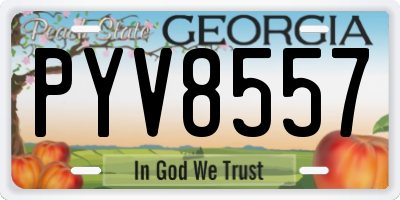 GA license plate PYV8557