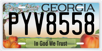 GA license plate PYV8558