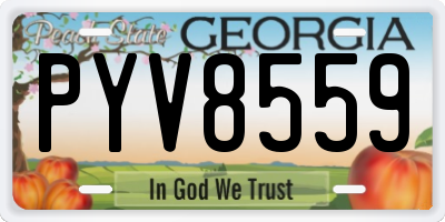 GA license plate PYV8559