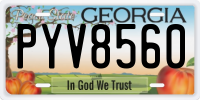 GA license plate PYV8560