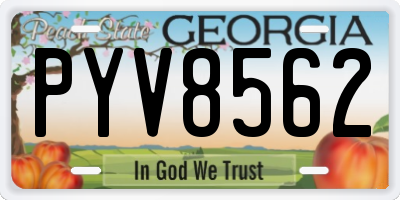 GA license plate PYV8562