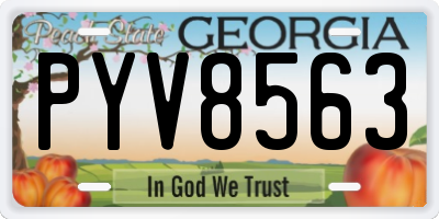 GA license plate PYV8563
