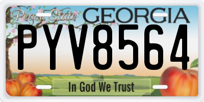 GA license plate PYV8564