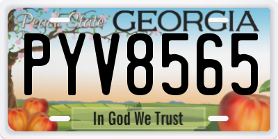 GA license plate PYV8565