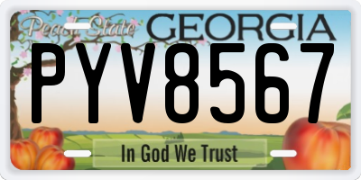 GA license plate PYV8567