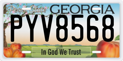 GA license plate PYV8568