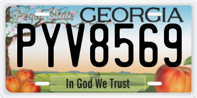 GA license plate PYV8569