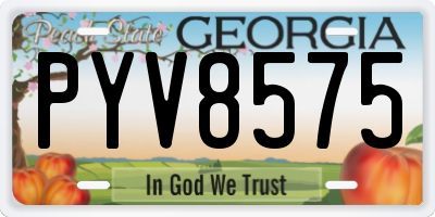 GA license plate PYV8575
