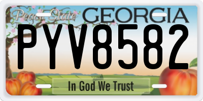 GA license plate PYV8582