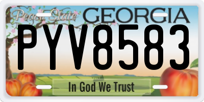 GA license plate PYV8583