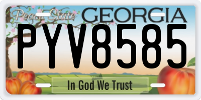 GA license plate PYV8585