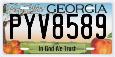 GA license plate PYV8589