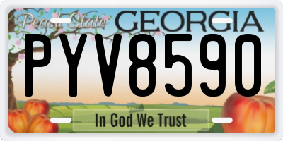 GA license plate PYV8590