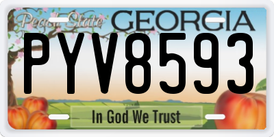 GA license plate PYV8593