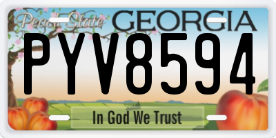 GA license plate PYV8594