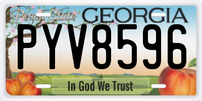 GA license plate PYV8596