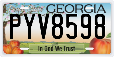 GA license plate PYV8598
