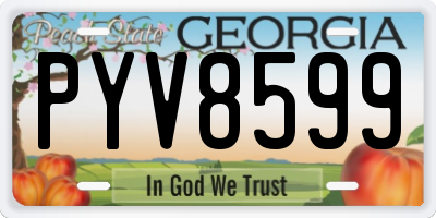 GA license plate PYV8599