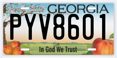 GA license plate PYV8601