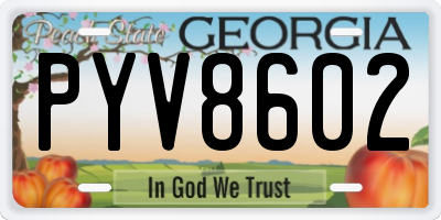 GA license plate PYV8602