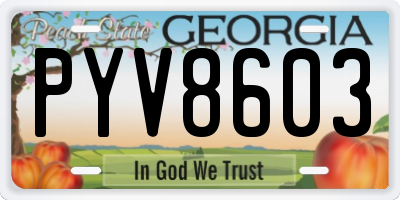 GA license plate PYV8603