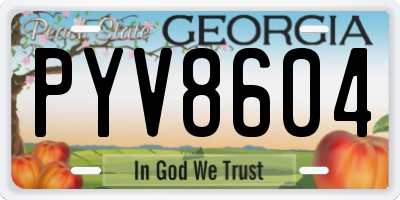 GA license plate PYV8604