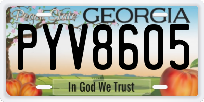 GA license plate PYV8605