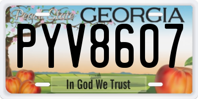 GA license plate PYV8607