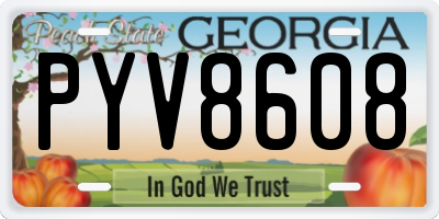 GA license plate PYV8608