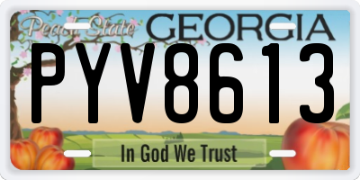 GA license plate PYV8613