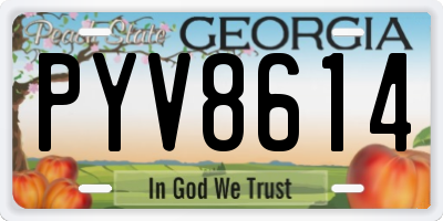 GA license plate PYV8614