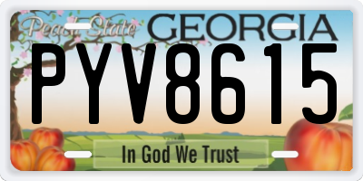 GA license plate PYV8615