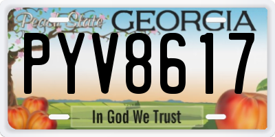 GA license plate PYV8617