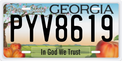 GA license plate PYV8619