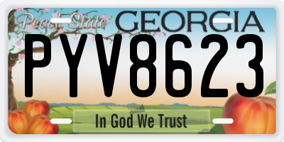GA license plate PYV8623