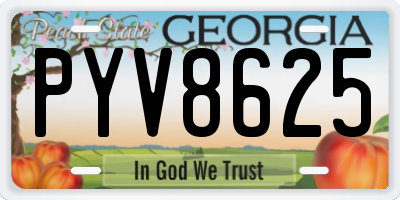 GA license plate PYV8625